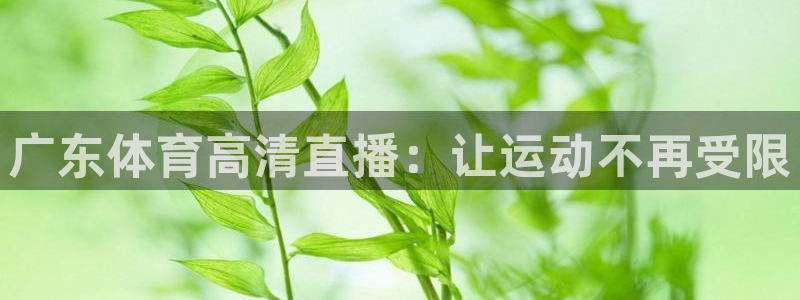 广东体育高清直播：让运动不再受限