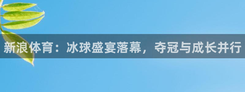 新浪体育：冰球盛宴落幕，夺冠与成长并行
