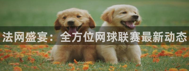 法网盛宴：全方位网球联赛最新动态