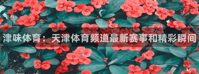 津味体育：天津体育频道最新赛事和精彩瞬间