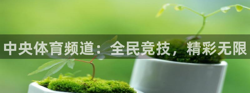 中央体育频道：全民竞技，精彩无限