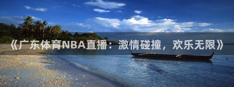 《广东体育NBA直播：激情碰撞，欢乐无限》