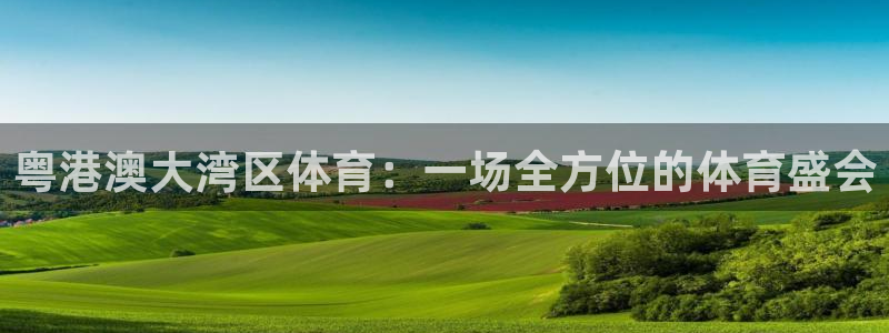 粤港澳大湾区体育：一场全方位的体育盛会