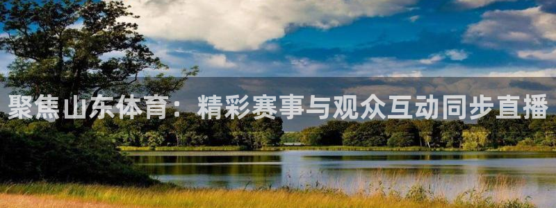 聚焦山东体育：精彩赛事与观众互动同步直播