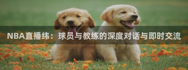 NBA直播纬：球员与教练的深度对话与即时交流