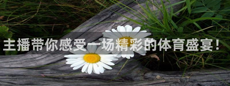 主播带你感受一场精彩的体育盛宴！