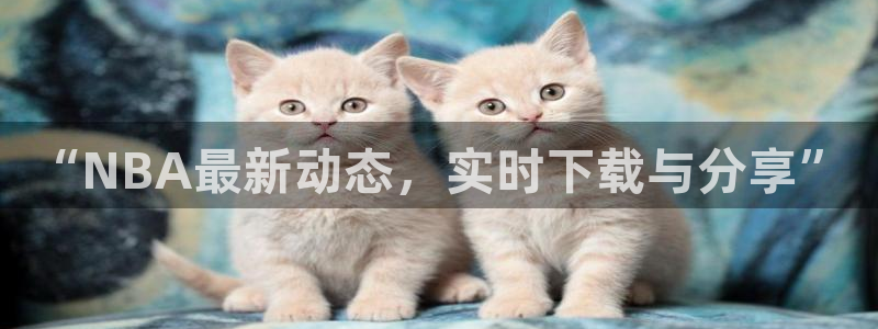 “NBA最新动态，实时下载与分享”