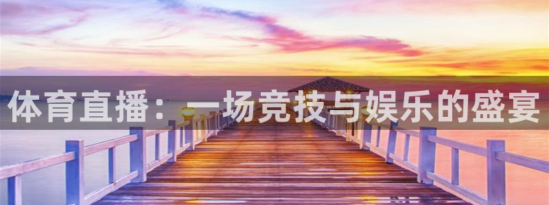 体育直播：一场竞技与娱乐的盛宴