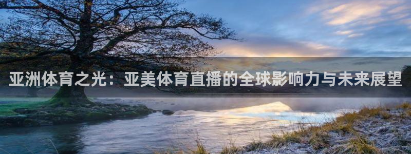 亚洲体育之光：亚美体育直播的全球影响力与未来展望
