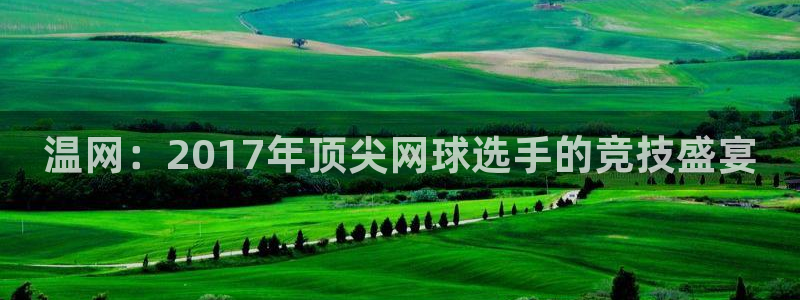 温网：2017年顶尖网球选手的竞技盛宴
