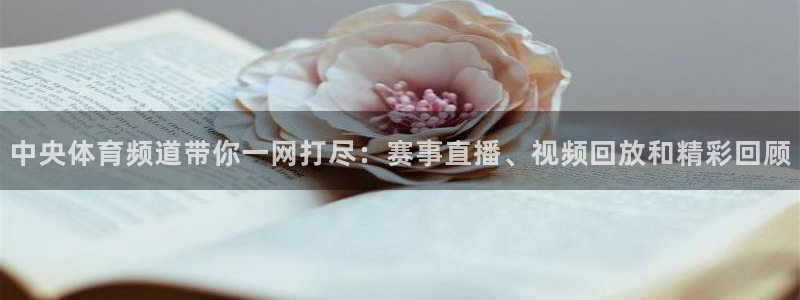 中央体育频道带你一网打尽：赛事直播、视频回放和精彩回顾
