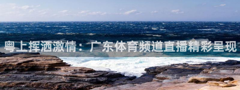 粤上挥洒激情：广东体育频道直播精彩呈现