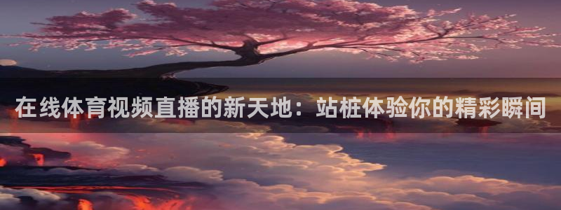 在线体育视频直播的新天地：站桩体验你的精彩瞬间