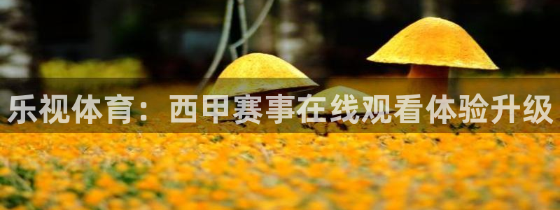 乐视体育：西甲赛事在线观看体验升级