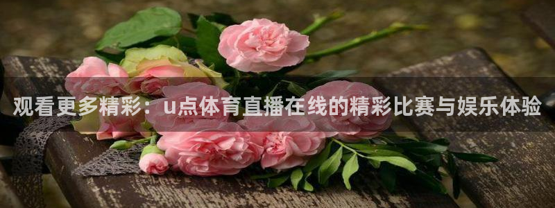 观看更多精彩：u点体育直播在线的精彩比赛与娱乐体验