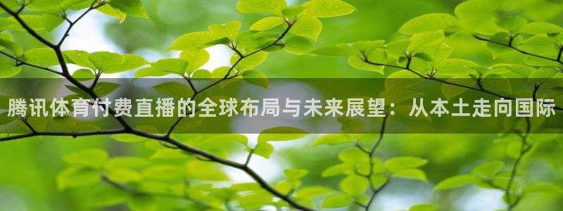 腾讯体育付费直播的全球布局与未来展望：从本土走向国际