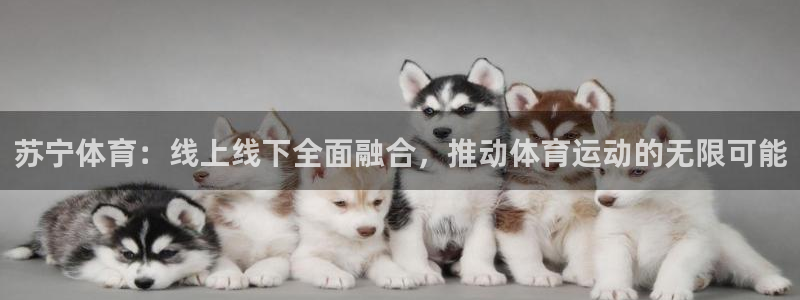 苏宁体育：线上线下全面融合，推动体育运动的无限可能