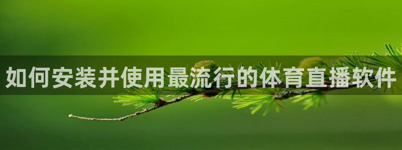如何安装并使用最流行的体育直播软件