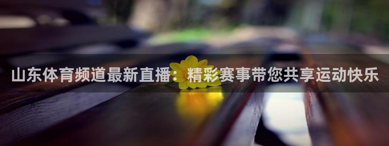 山东体育频道最新直播：精彩赛事带您共享运动快乐