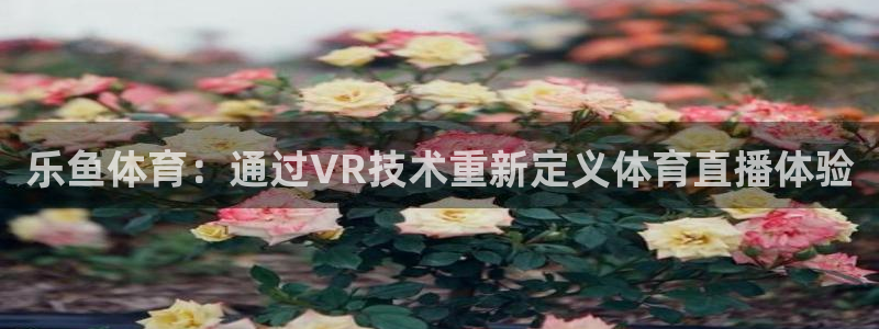 乐鱼体育：通过VR技术重新定义体育直播体验