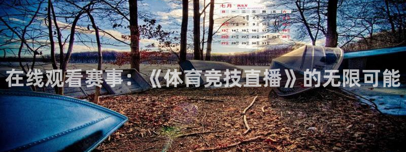 在线观看赛事：《体育竞技直播》的无限可能
