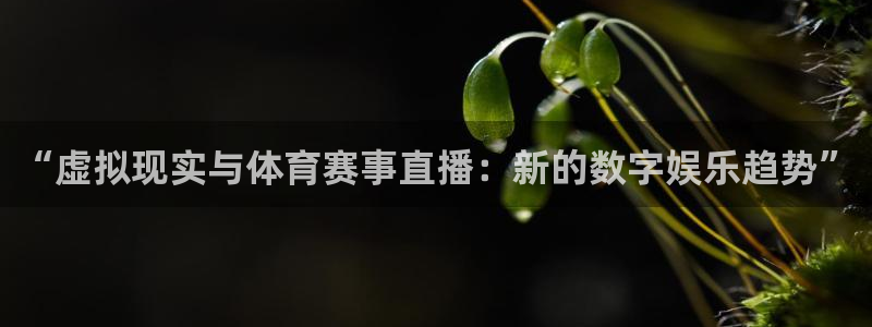 “虚拟现实与体育赛事直播：新的数字娱乐趋势”