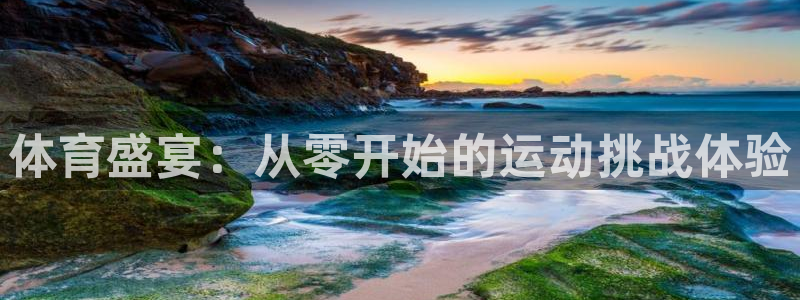 体育盛宴：从零开始的运动挑战体验