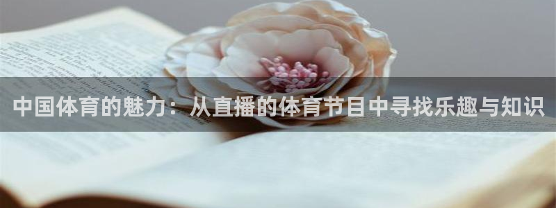 中国体育的魅力：从直播的体育节目中寻找乐趣与知识