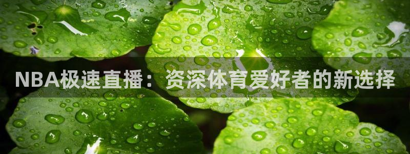 NBA极速直播：资深体育爱好者的新选择