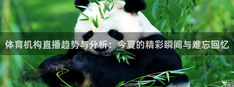 体育机构直播趋势与分析：今夏的精彩瞬间与难忘回忆