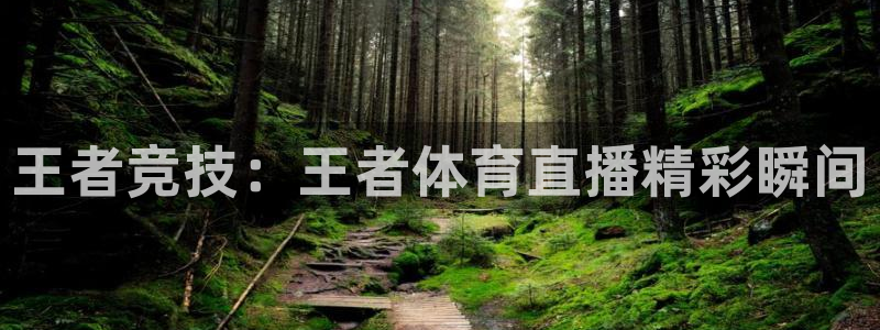 王者竞技：王者体育直播精彩瞬间