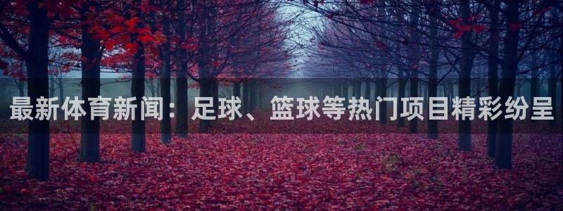最新体育新闻：足球、篮球等热门项目精彩纷呈