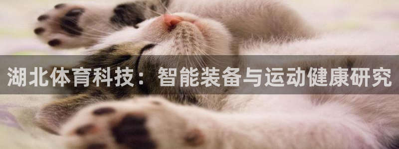 湖北体育科技：智能装备与运动健康研究