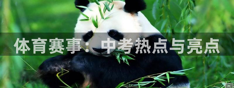 体育赛事：中考热点与亮点