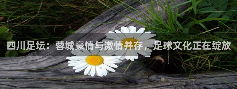 四川足坛：蓉城豪情与激情并存，足球文化正在绽放