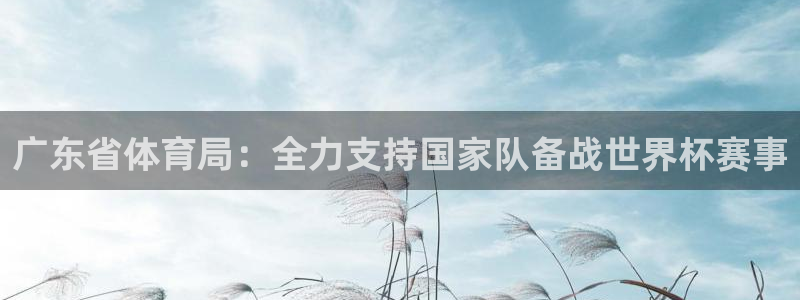 广东省体育局：全力支持国家队备战世界杯赛事