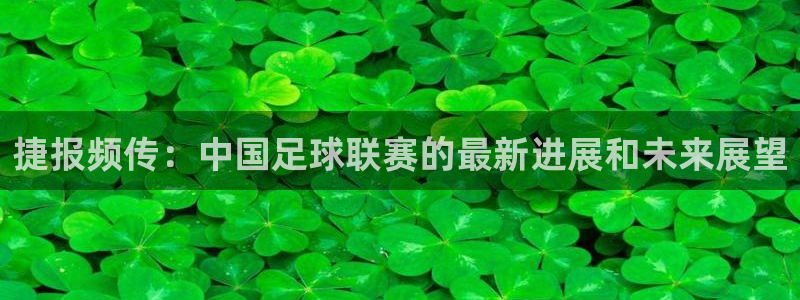 捷报频传：中国足球联赛的最新进展和未来展望