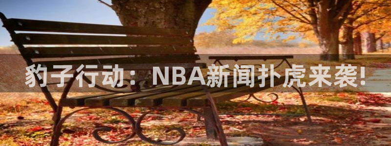 豹子行动：NBA新闻扑虎来袭!