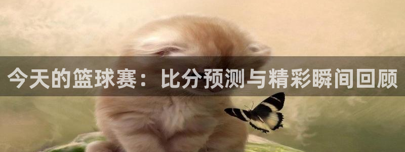 今天的篮球赛：比分预测与精彩瞬间回顾