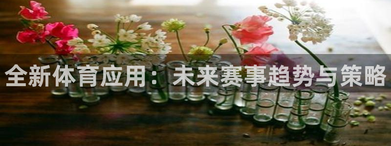 全新体育应用：未来赛事趋势与策略