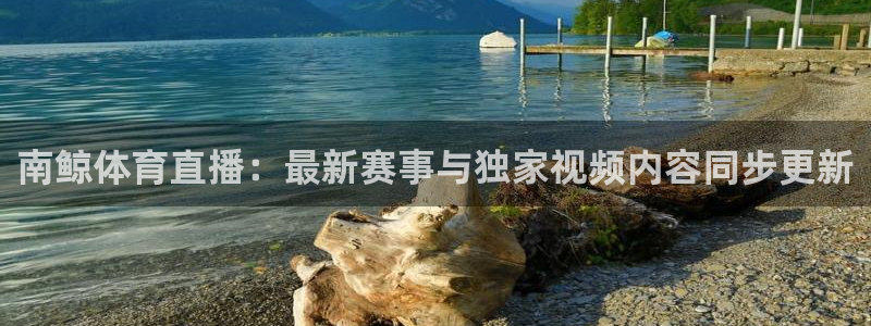 南鲸体育直播：最新赛事与独家视频内容同步更新