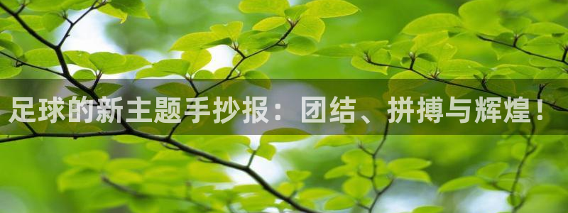 足球的新主题手抄报：团结、拼搏与辉煌！