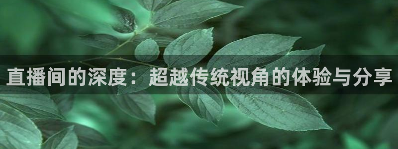 直播间的深度：超越传统视角的体验与分享