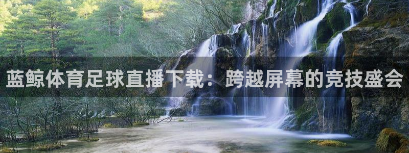 蓝鲸体育足球直播下载：跨越屏幕的竞技盛会