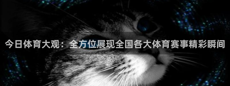 今日体育大观：全方位展现全国各大体育赛事精彩瞬间