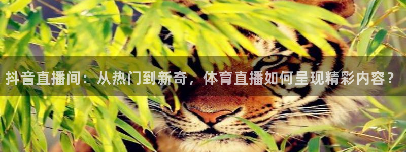 抖音直播间：从热门到新奇，体育直播如何呈现精彩内容？
