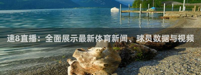 速8直播：全面展示最新体育新闻、球员数据与视频