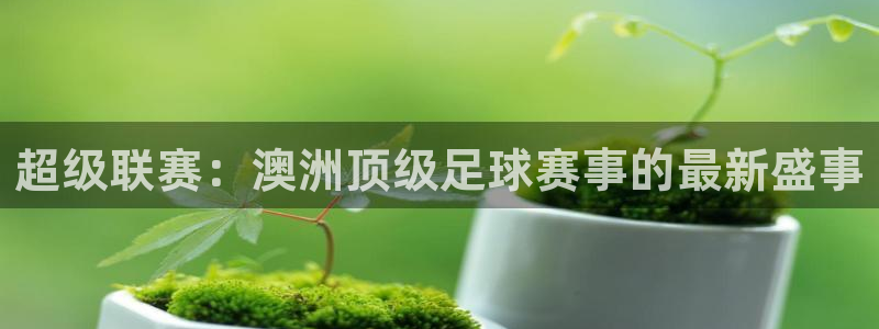 超级联赛：澳洲顶级足球赛事的最新盛事