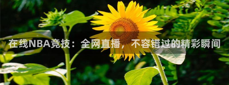 在线NBA竞技：全网直播，不容错过的精彩瞬间