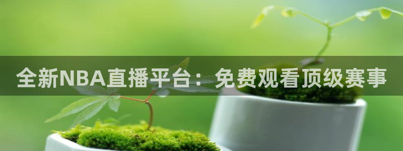 全新NBA直播平台：免费观看顶级赛事